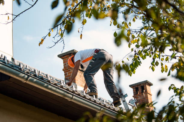 Roof Gutter Cleaning in Countryside, IL