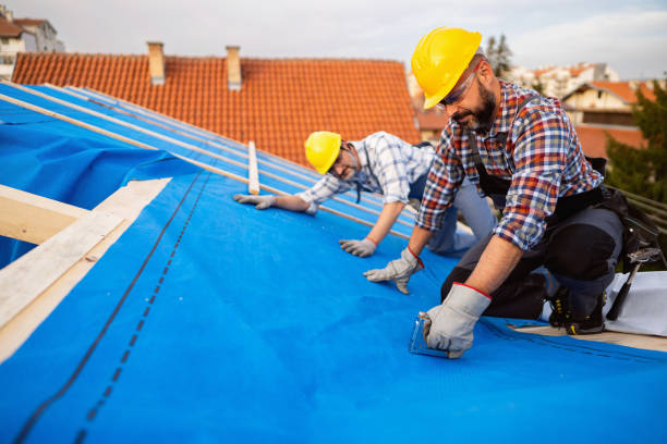 Best Flat Roof Repair Services  in Countryside, IL